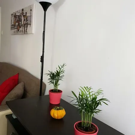 Two Bedrooms Elias Hospital Appartement *