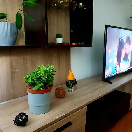 Two Bedrooms Elias Hospital * Бухарест